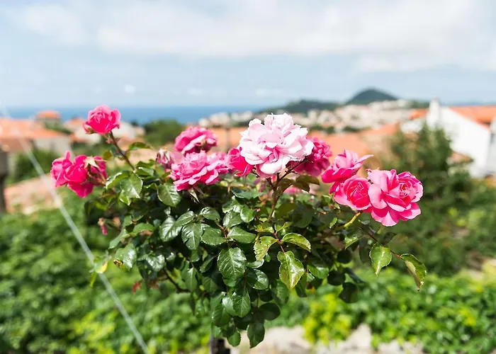 House - Private House With Seaview Apartmán Dubrovník