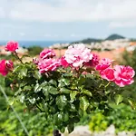 House Verde - Private Seaview House & Garden アパート ドゥブロブニク