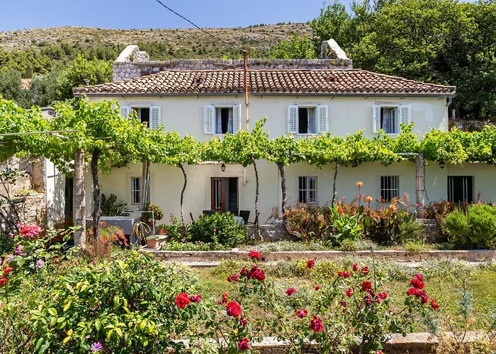 House - Private House With Seaview * Ντουμπρόβνικ